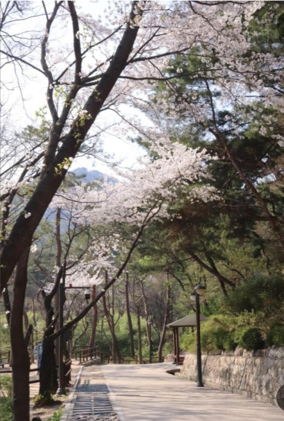 Palace Of Guest house Seoul
